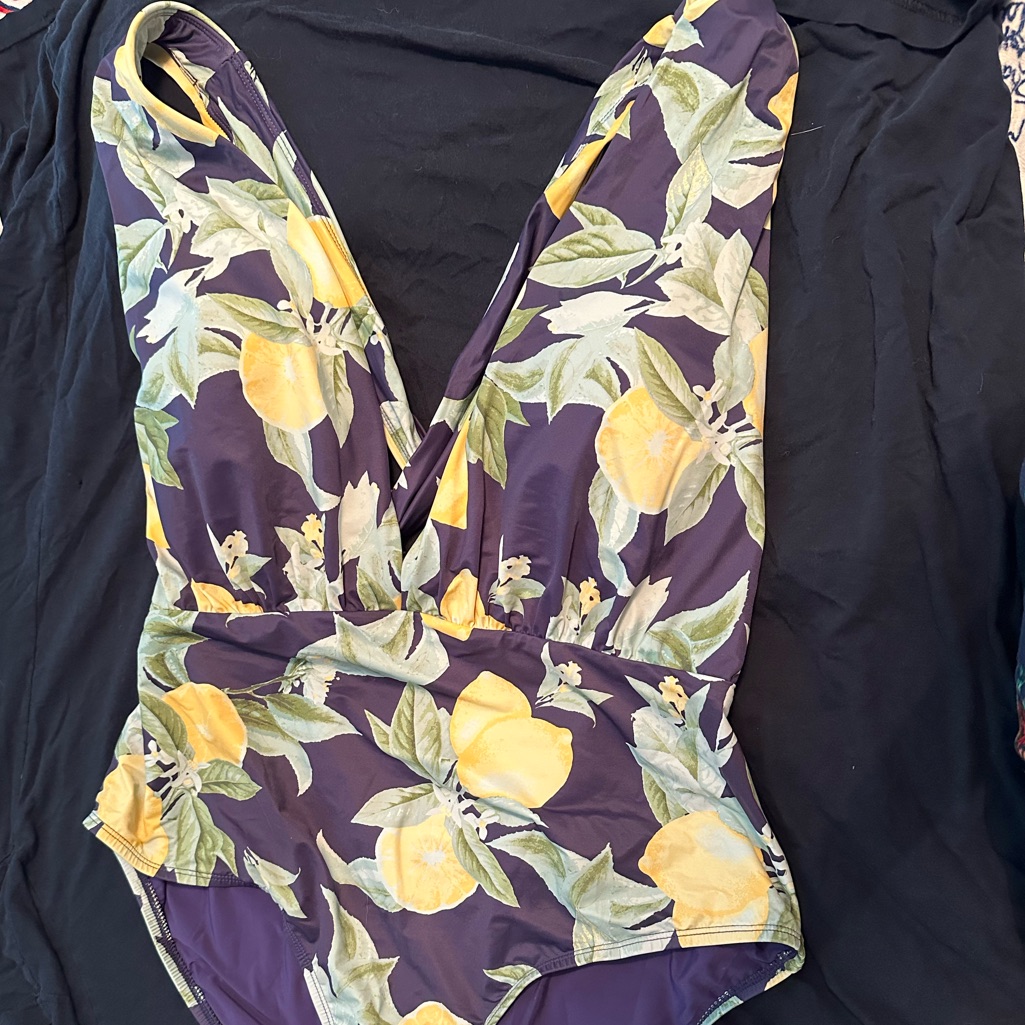 Plus Size Plunge, Lemon, Print, Bathing Suit, Swim Rx . Size 2x.